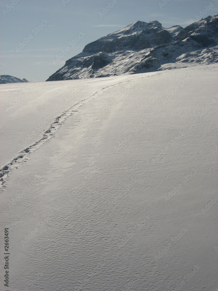 neve fresca neve fresca
