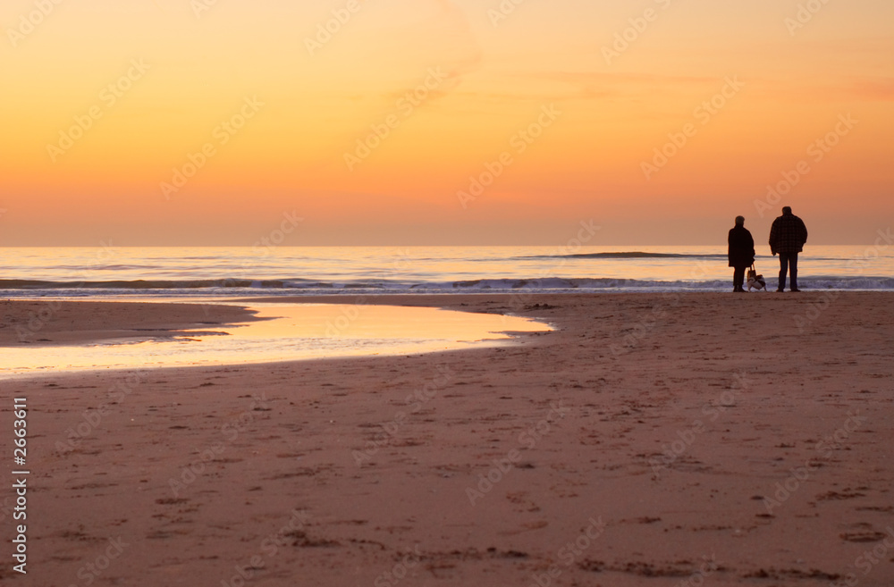 Naklejka premium looking at the sunset