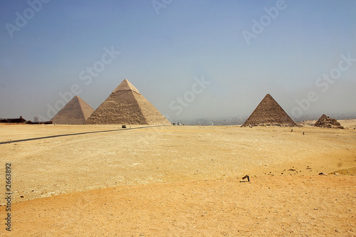 pyramids at giza - egypt