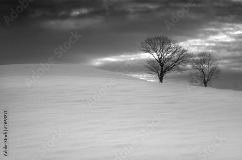 snowscape near llanilar