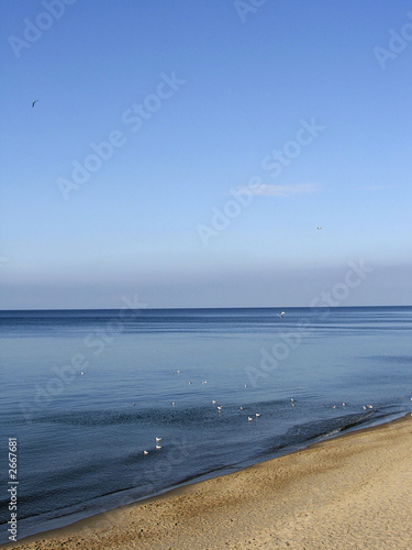 Fotografie baltic sea_calm