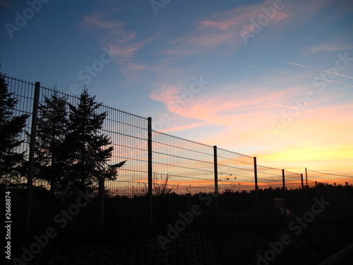 silhouette sunset