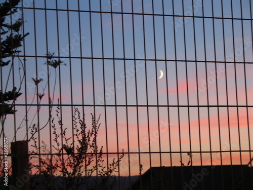 moon trapped