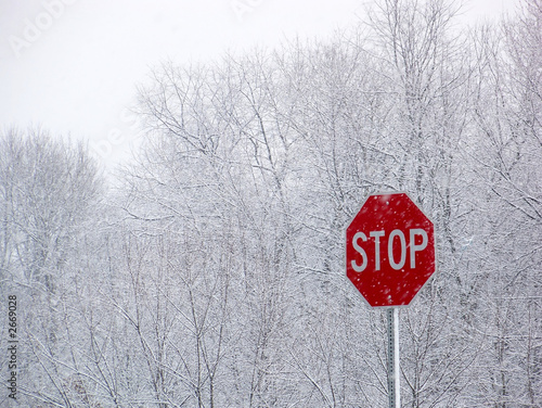 stop snow © Patricia Mesanko
