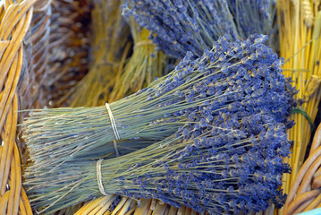 Gartenposter Lavendelblüten Lavendel  © razorconcept