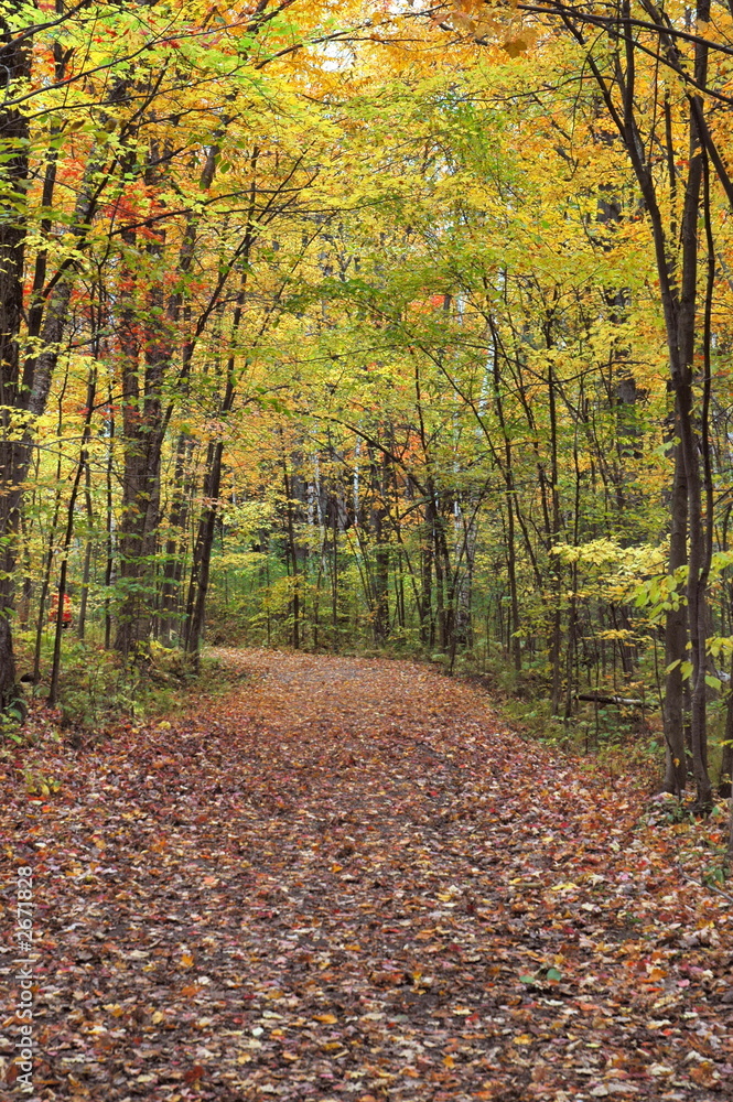 Naklejka premium inviting path