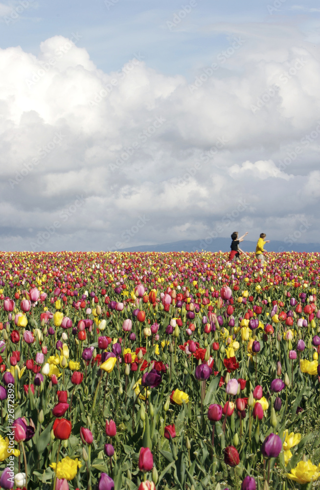kids in tulip fields