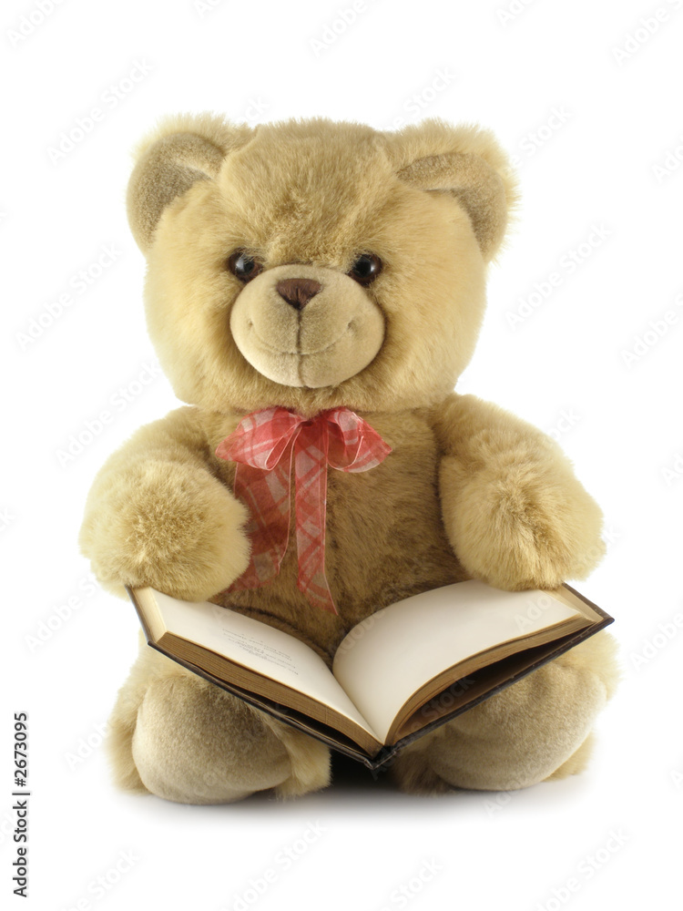 teddy bear with a book teddy bear with a book