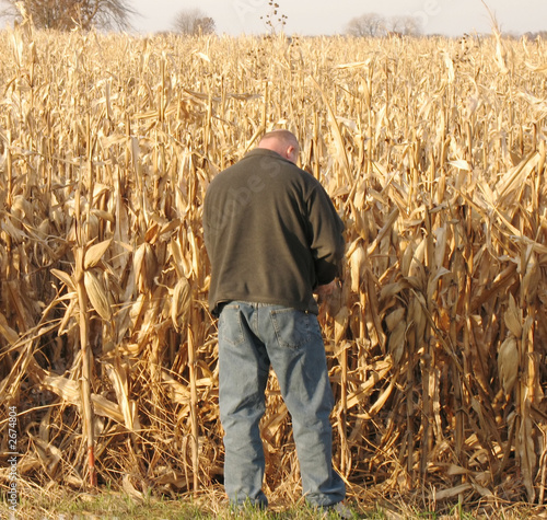 farmer checking crops