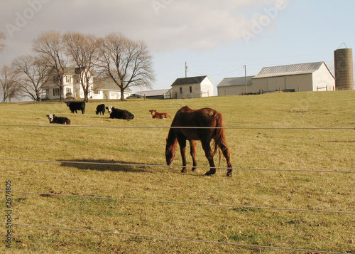 farmhouse