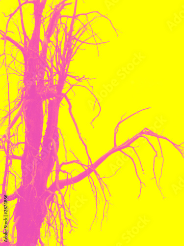 dead tree