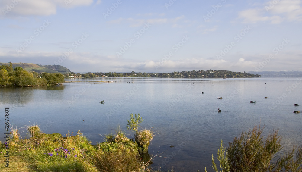 peaceful rotorua lake sunrise