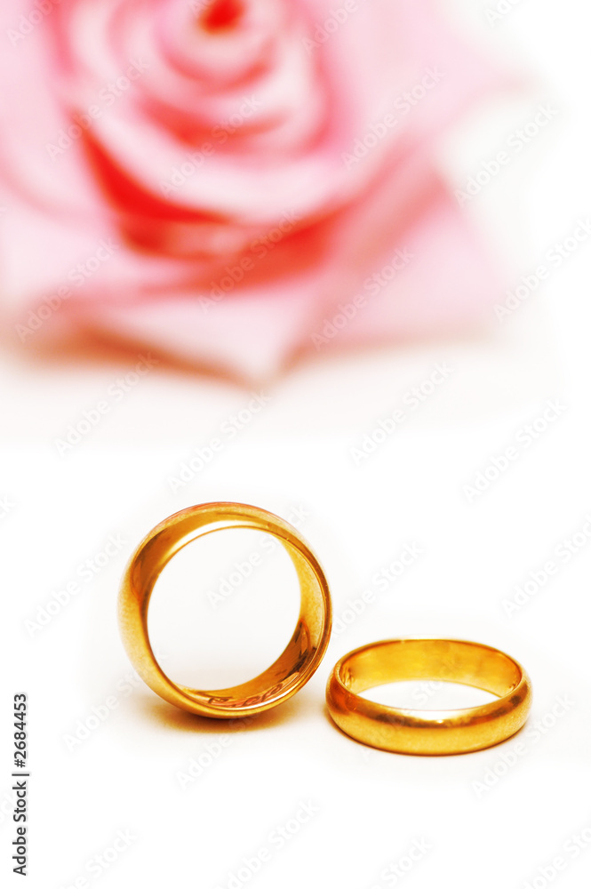 two golden wedding rings and a pink rose two golden wedding rings and a pink rose