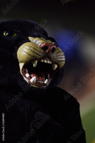 panther mascot