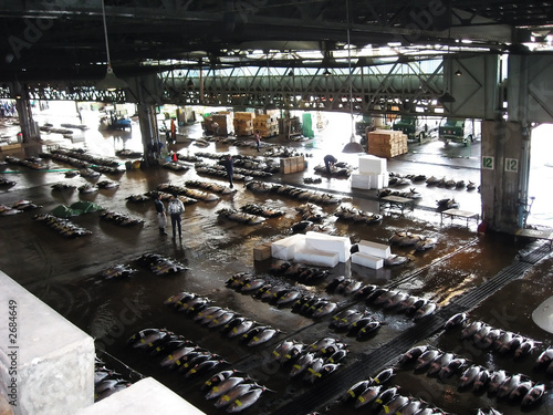 fish warehouse, japan