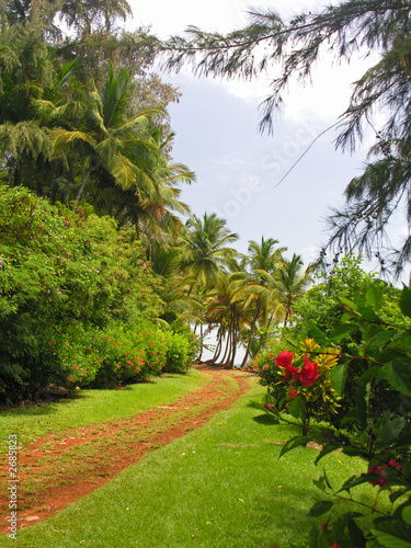chemin