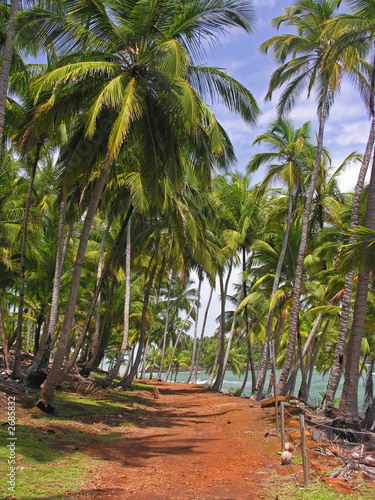 ile royale