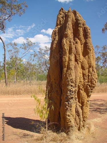 termitière au kakadu park / australie photo