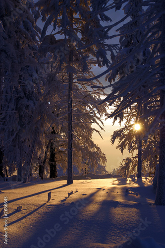 winter landscape