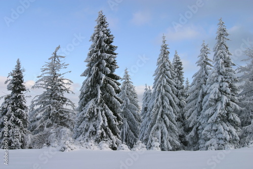 winter