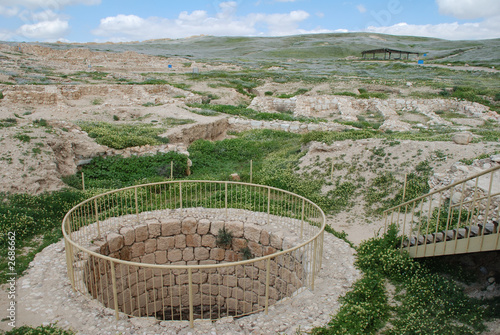 tel arad