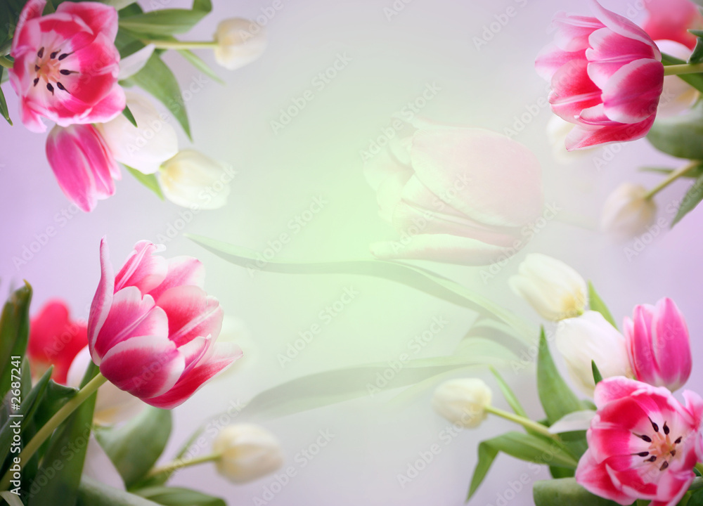 tender floral background