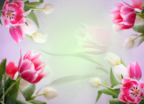 Fototapeta Naklejka Na Ścianę i Meble -  tender floral background