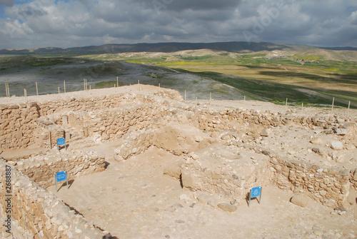 tel arad