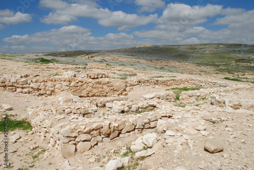 tel arad