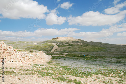 tal arad, the cities wall