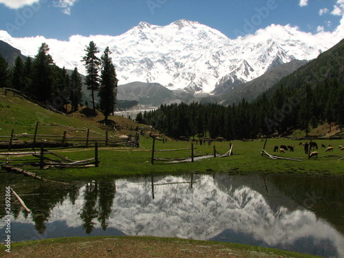 nanga parbat's reflection photo