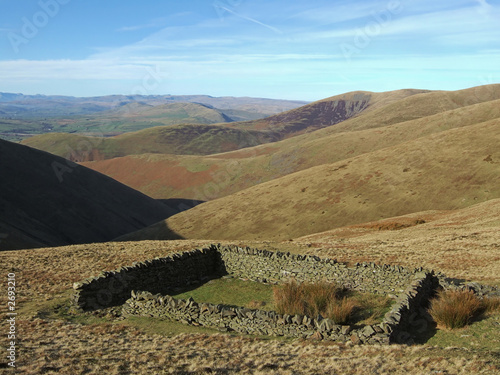 sheepfold on the howgills photo