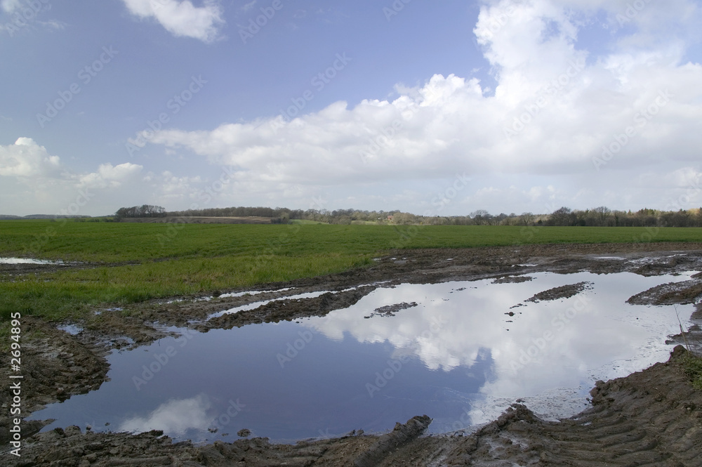 puddle reflection