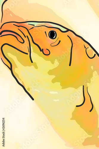 fish