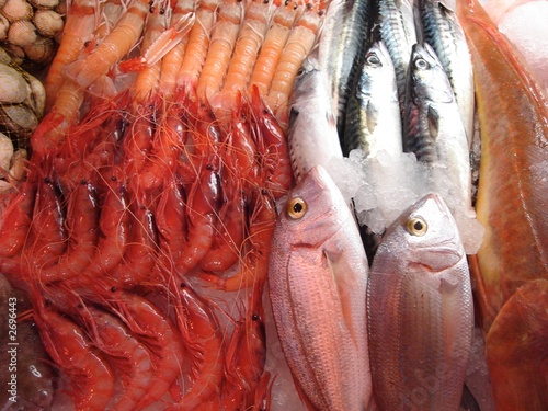 prawns and fish photo