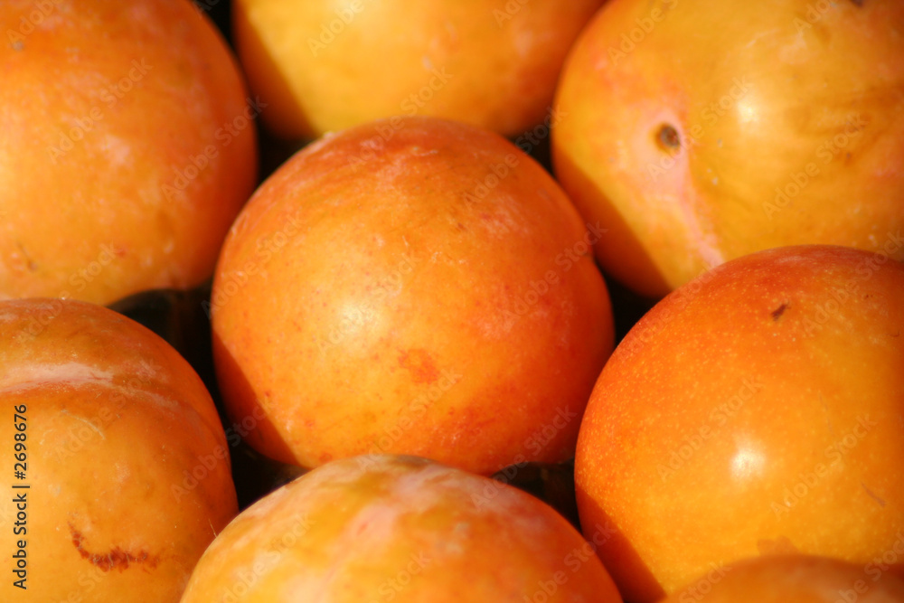 fruit fruit