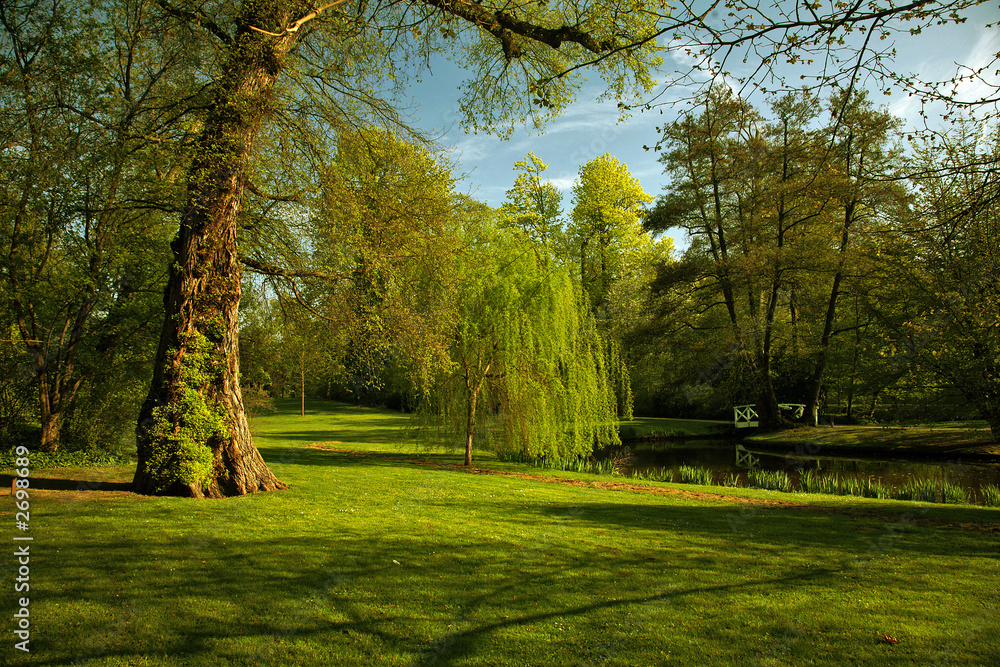 green scenery green scenery