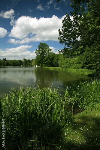 green scenery