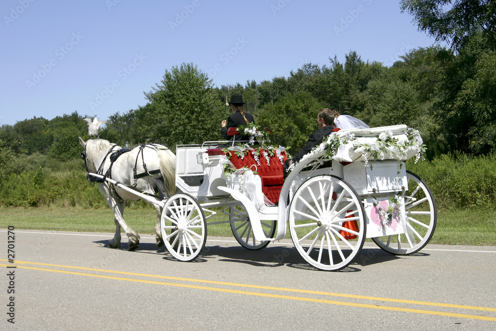 Fototapeta premium just married
