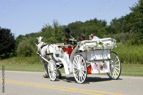 horse-drawn newlyweds