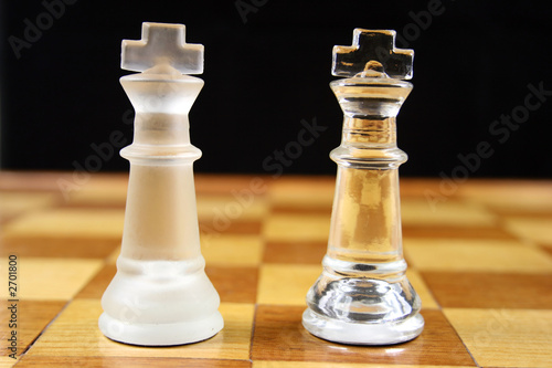chess game - king v king