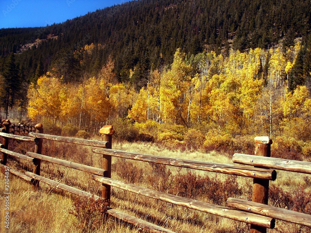 Rural Country Autumn Scenic In Colorado