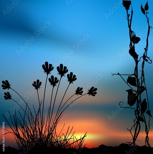 floral scenery 04