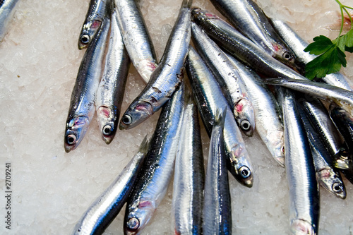 sardinas