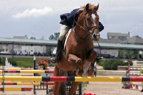 horse & rider showjumping