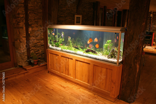 fish tank