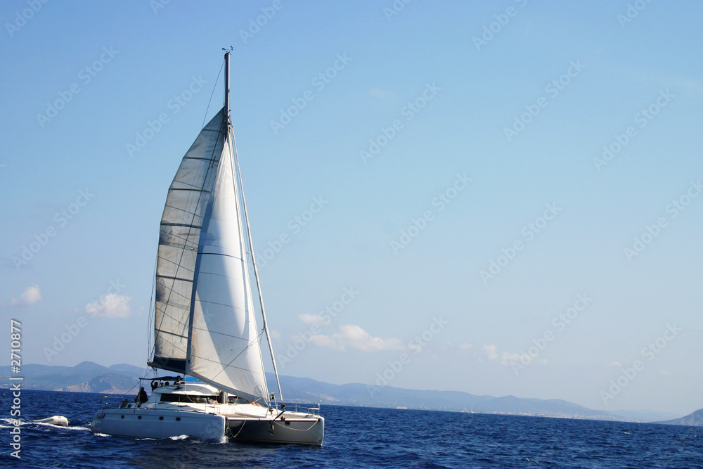 Naklejka premium catamarán en regata