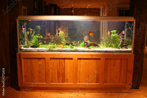 fish tank