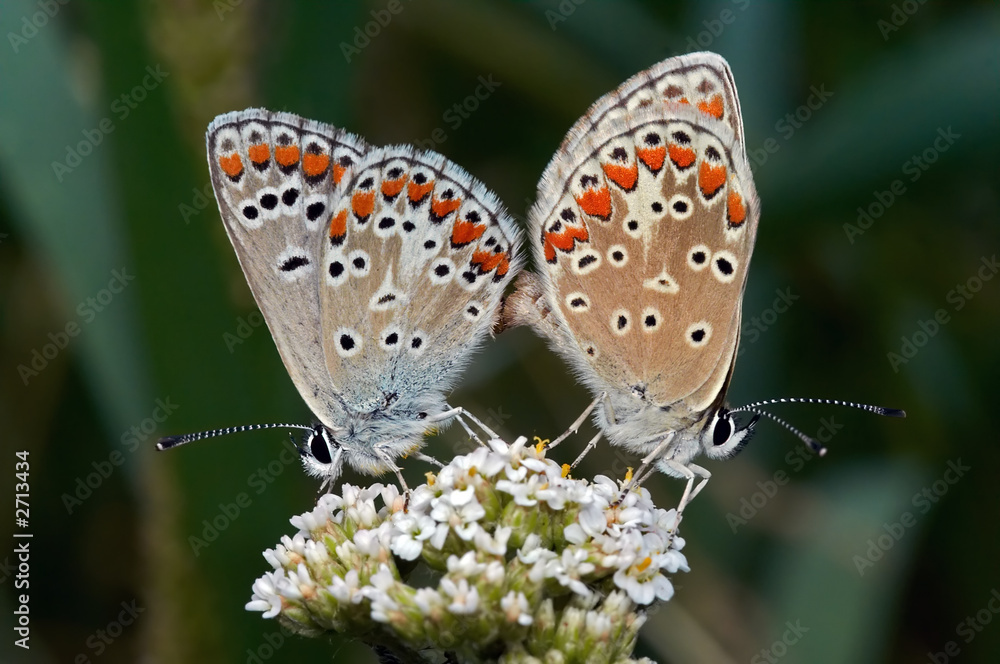 Obraz premium contact