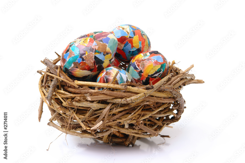 collage eggs in nest collage eggs in nest